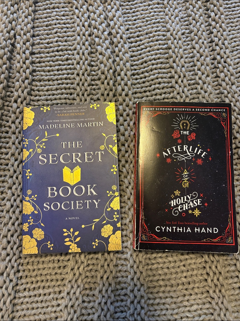 The Secret Book Society & The Afterlife of Holly Chase
